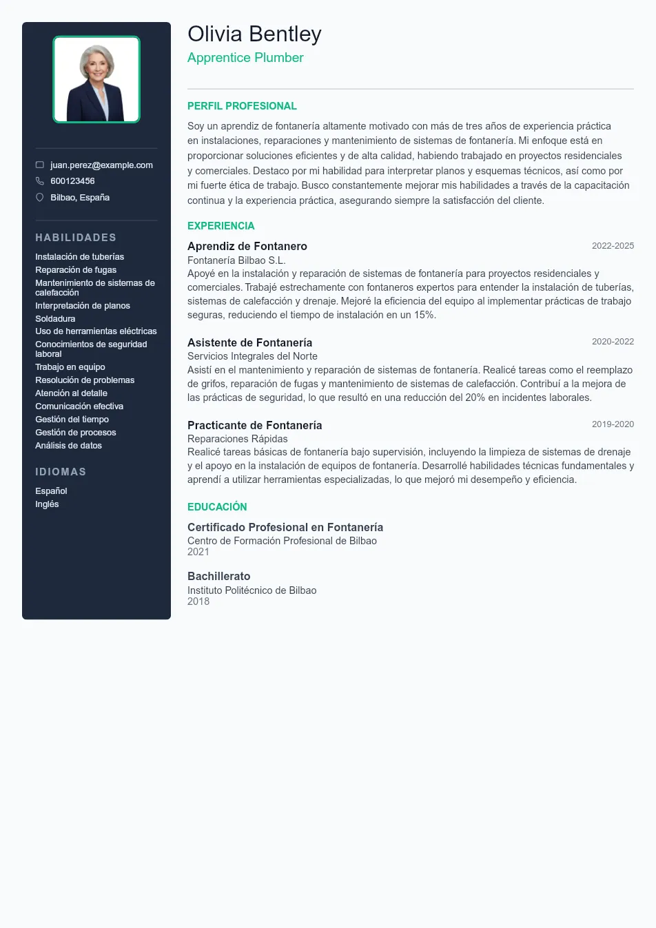 Ejemplo de CV de Apprentice Plumber CV Example - Professional Resume Template