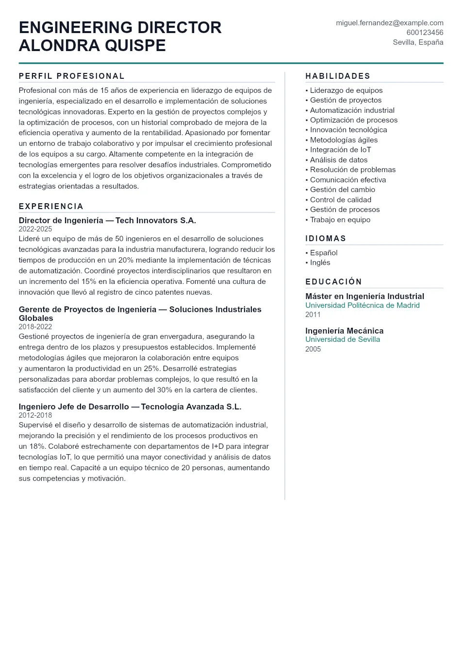 Ejemplo de CV de Engineering Director CV Example - Professional Resume Template