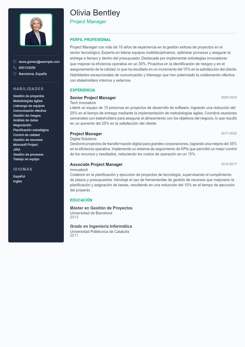Ejemplo de CV de Project Manager CV Example - Professional Resume Template
